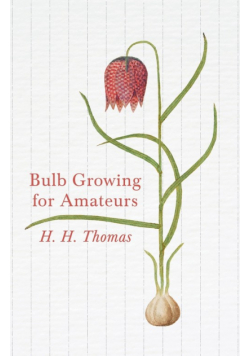 Bulb Growing for Amateurs