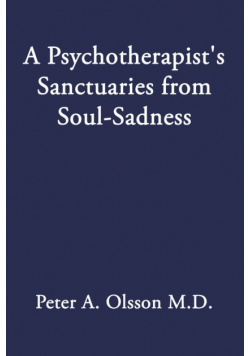 A Psychotherapist's Sanctuaries from Soul-Sadness
