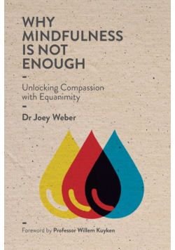 Why Mindfulness is not Enough