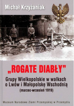 Rogate Diabły Grupy Wielkopolskie w walkach o Lwów i Małopolskę Wschodnią ( marzec wrzesień 1919 )