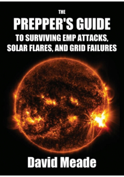 The Prepper's Guide to Surviving EMP Attacks, Solar Flares and Grid Failures