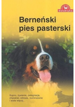 Berneński pies pasterski