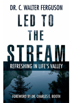 Led To The Stream