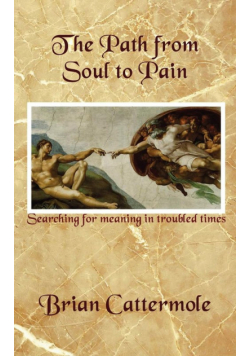 The Path from Soul to Pain