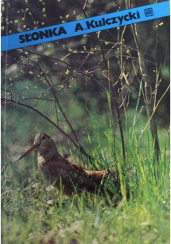 Słonka