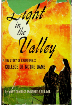 Light in the Valley