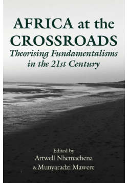Africa at the Crossroads