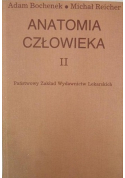Anatomia człowieka II