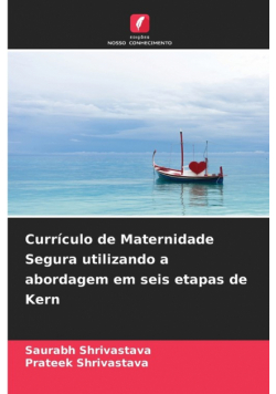 Currículo de Maternidade Segura utilizando a abordagem em seis etapas de Kern