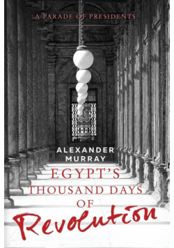 Egypt's Thousand Days of Revolution