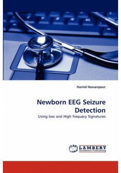 Newborn EEG Seizure Detection