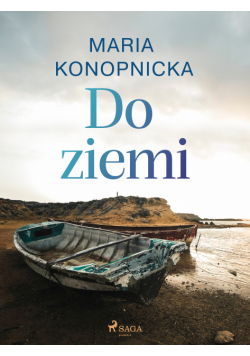 Do ziemi