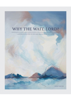 Why the Wait, Lord?