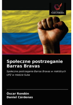 Społeczne postrzeganie Barras Bravas