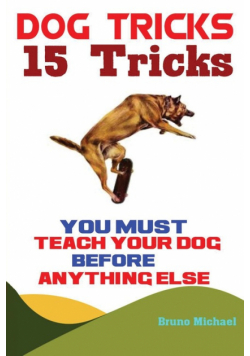 Dog Tricks