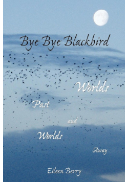 Bye Bye Blackbird