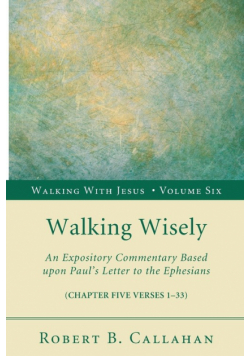 Walking Wisely