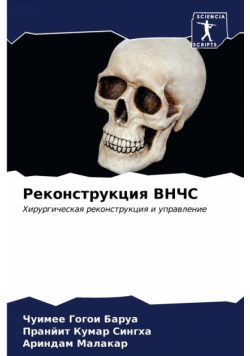 Реконструкция ВНЧС