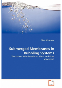 Submerged Membranes in Bubbling Systems