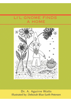 Li'l Gnome Finds a Home