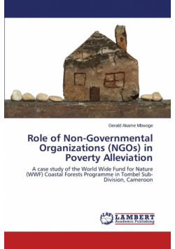Role of Non-Governmental Organizations (Ngos) in Poverty Alleviation
