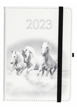 Kalendarz 2023 B6 dzienny Jazz konie ELEFANT