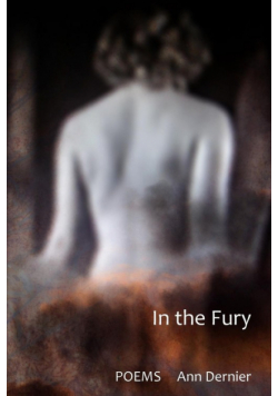 In the Fury