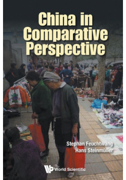 China in Comparative Perspective