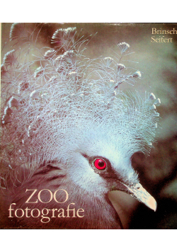 Zoo fotografie