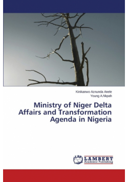 Ministry of Niger Delta Affairs and Transformation Agenda in Nigeria