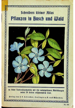 Schreibers kleiner atlas pflanzen in busch und wald