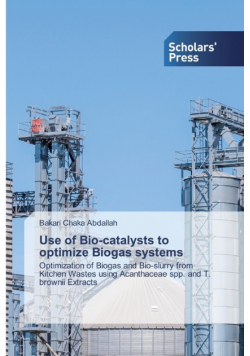 Use of Bio-catalysts to optimize Biogas systems
