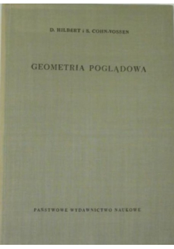 Geometria poglądowa
