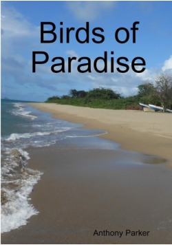 Birds of Paradise