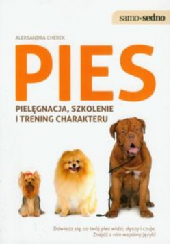 Pies Pielęgnacja szkolenie i trening charakteru