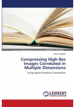 Compressing High-Res Images Correlated in Multiple Dimensions
