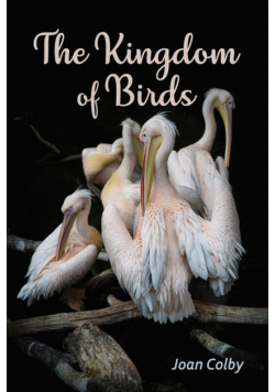 The Kingdom of Birds