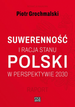 Polski Suwerenność I Racja Stanu W Perspektywie 2030 Raport