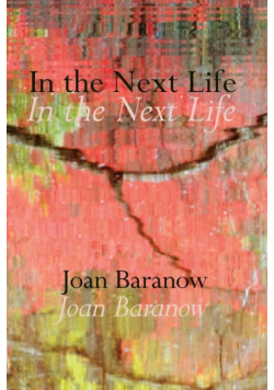 In the Next Life