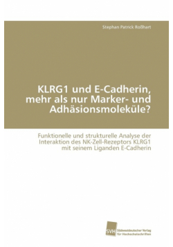 KLRG1 und E-Cadherin, mehr als nur Marker- und Adhäsionsmoleküle?