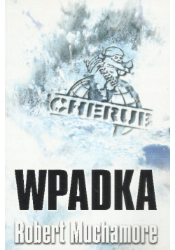 Wpadka