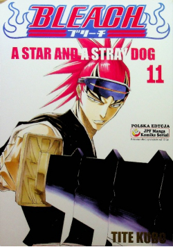 Bleach Tom 11