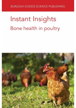 Instant Insights