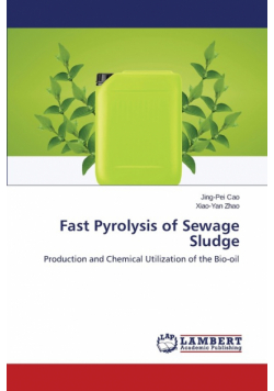 Fast Pyrolysis of Sewage Sludge