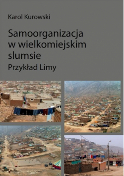 Samoorganizacja w wielkomiejskim slumsie