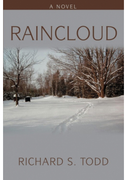 Raincloud