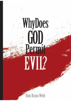 Why Does God Permit Evil?