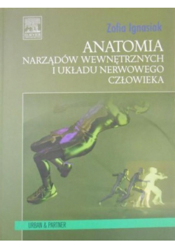 Anatomia narządów wewnętrznych i układu nerwowego człowieka