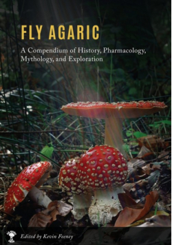 Fly Agaric