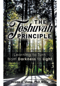 The Teshuvah Principle